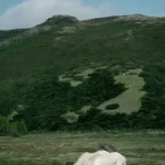 Die gefährlichsten Tiere der Welt