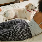 Clickertraining für Hunde – so funktioniert es