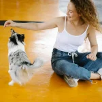 Wie kann ich meinem Hund beibringen, nicht an der Leine zu ziehen?