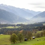 Können Tiere lügen?
