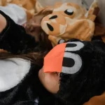 Wie weit kann ein Wolf heulen?