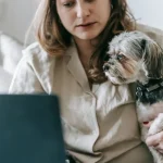 Wildtiere: Wie Elefanten ihre Herden organisieren