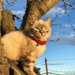 Wildtiere: Wie Tiere sich auf den Winter vorbereiten