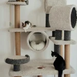 Tieradoption: Hunde aus dem Tierheim – Was du wissen musst