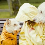 Tierschutz: Wie sich der Klimawandel auf Tiere auswirkt