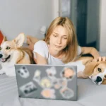 Tieradoption Warum Hunde aus dem Tierschutz oft treuere Begleiter sind