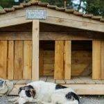 Wildtiere Warum manche Tiere ihre Farbe je nach Umgebung ändern