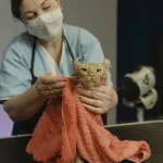 Wildtiere Die ungewöhnlichsten Schlafgewohnheiten von Wildtieren