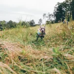 Wildtiere Warum manche Schlangen giftig sind und andere nicht