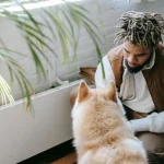 Tieradoption Warum eine Adoption aus dem Tierschutz oft die beste Wahl ist