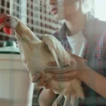 Tierpflege Wie du das Fell deines Haustieres zum Glänzen bringst