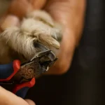 Tierkommunikation Warum manche Tiere mit Ultraschall kommunizieren