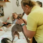 Wildtiere Die gefährlichsten Jäger im Tierreich