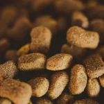 Tierernährung Wie du selbstgemachte Hundekekse einfach herstellst