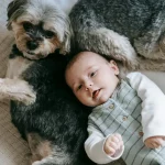 Tieradoption Warum Tierheimtiere oft die beste Wahl sind