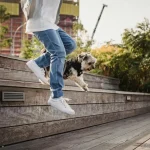 Tierwelt & Kuriose Fakten Warum manche Tiere in Gruppen leben und andere nicht