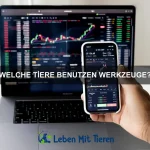 Was tun, wenn dein Hund unter Trennungsangst leidet?