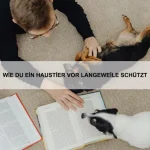 Warum haben Schildkröten so ein langes Leben?