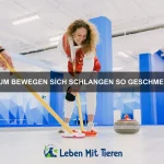 Welche Tiere haben das beste Orientierungssystem?