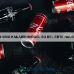 Welche Tiere haben das beste Orientierungssystem?