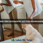 Wie erkenne ich eine Allergie bei meinem Haustier?