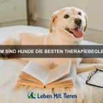 Welche Tiere können im Dunkeln leuchten?