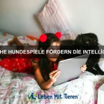 Warum stecken Katzen oft ihre Zunge heraus?