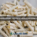 Wie erkenne ich, ob mein Hund gestresst ist?