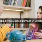 Warum sind Papageien so gute Nachahmer?