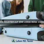Welche Anzeichen deuten auf Langeweile bei Haustieren hin?