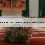 Warum wechseln Hunde ihr Fell?