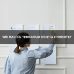 Warum sind einige Tiere so bunt gefärbt?
