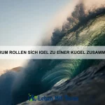 Warum lecken Hunde ständig an ihren Pfoten?