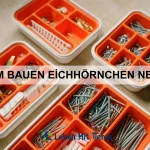 Wie lange sollte ein Hund täglich spazieren gehen?