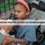 Wie du deinem Hund das Bellen abgewöhnst