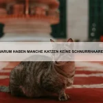 Warum sind Kaninchen so soziale Tiere?