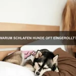 Warum können einige Tiere in extrem kalten Gebieten leben?