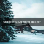 Welche Tiere haben die stärkste Haut?