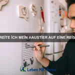 Warum träumen Hunde?