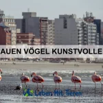 Wie du einem Haustier die Angst vor Menschen nimmst