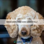 Warum haben einige Tiere leuchtende Haut?