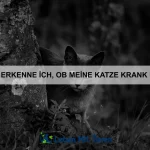 Wie erkenne ich, ob mein Haustier genug trinkt?