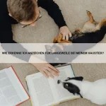 Warum wechseln einige Tiere ihre Fellfarbe?