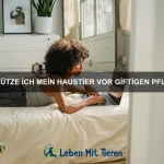 Wie du deinem Hund das richtige Sozialverhalten beibringst