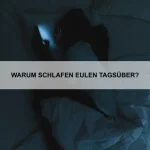 Welche Hunderassen bellen am wenigsten?