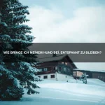 Welche Impfungen braucht ein Kaninchen?