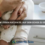 Wie bringe ich meinem Hund bei, entspannt zu bleiben?