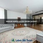 Warum legen Schildkröten so viele Eier?