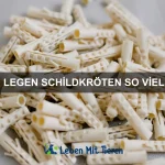 Warum haben Eulen große Augen?