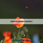 Wie du deinem Haustier beibringst, keine Möbel zu zerkratzen
